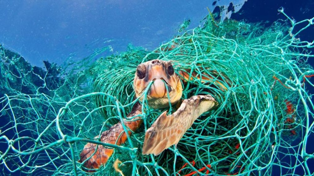 Rác thải nhựa trên biển - Nỗi ám ảnh của đại dương